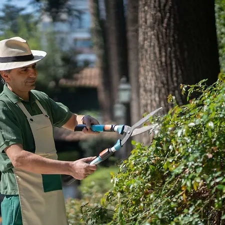 Aldrovandi Borghese فندق