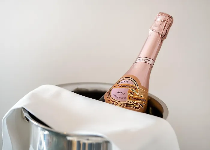 Otel Aldrovandi Borghese Roma